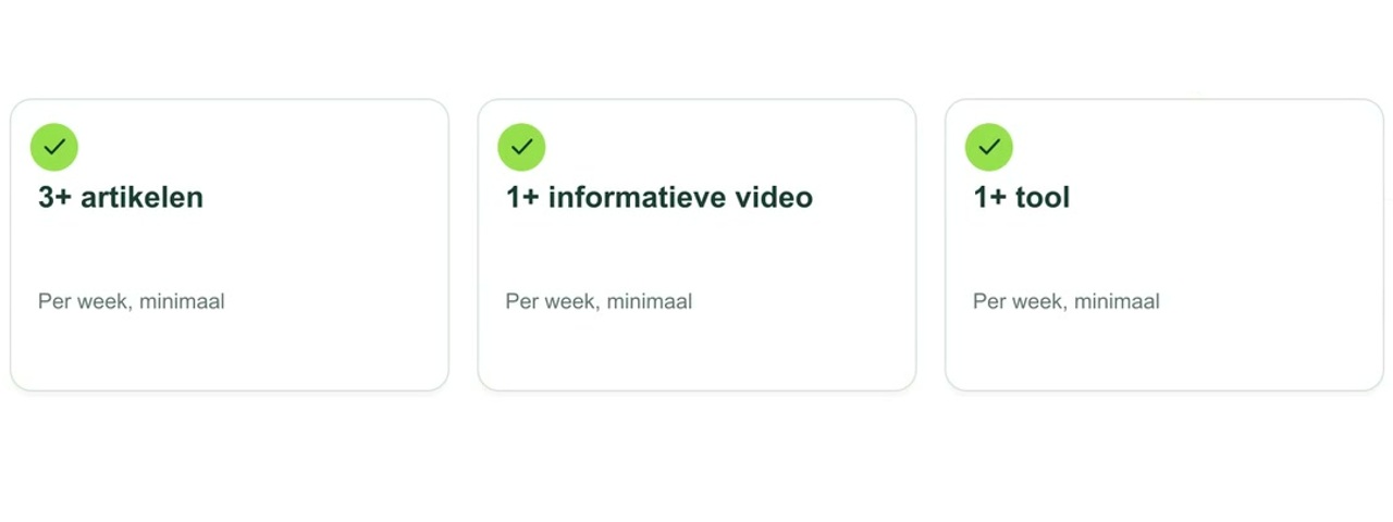 Geanimeerde uitleg: Website-abonnement: wat krijg je voor €350 per maand?